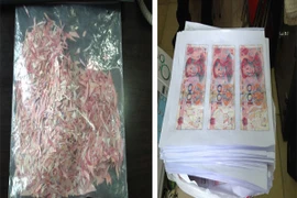 Ngồi ghép gần 500 triệu tiền giấy bị cắt vụn