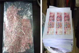 Ngồi ghép gần 500 triệu tiền giấy bị cắt vụn