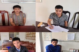 Truy bắt những tên cướp ở mỏ vàng Bồng Miêu