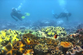 1.000 nhà nhiếp ảnh cùng "Khám phá Việt Nam"