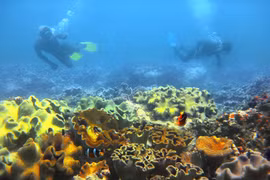 1.000 nhà nhiếp ảnh cùng "Khám phá Việt Nam"