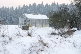 Nguy cơ trắng tay vì chôn nhờ vàng trong nhà bạn