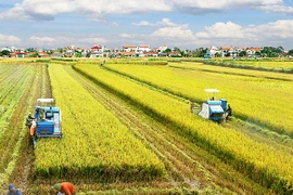 Chấp nhận "xé rào" để có đột phá tư duy trong phát triển 