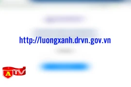 Triển khai cấp thẻ nhận diện phương tiện kèm mã QRCode để giảm ùn tắc tại các chốt kiểm dịch