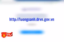 Triển khai cấp thẻ nhận diện phương tiện kèm mã QRCode để giảm ùn tắc tại các chốt kiểm dịch