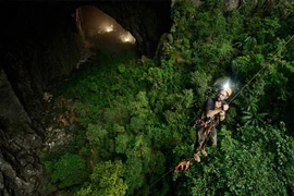 Người dẫn chương trình Mỹ xếp Sơn Đoòng vượt thang điểm 10