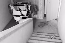 Hành lang chung cư bị chiếm dụng bừa bãi