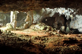 Phát hiện thêm 23 hang, động trên Vịnh Hạ Long và Bái Tử Long 