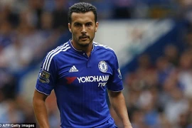 Pedro từ chối gia nhập M.U không phải là vì Van Gaal