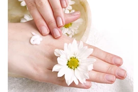 Sự kỳ diệu từ đôi bàn tay