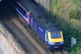 Vừa lái tàu, vừa… đọc báo