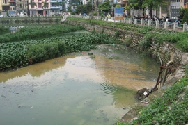 Việc cải tạo hồ sẽ chẳng có ý nghĩa