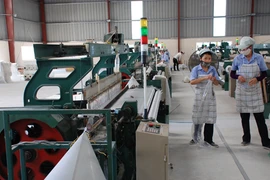 Nhiều doanh nghiệp lợi dụng sự ưu đãi