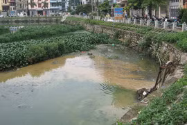 Việc cải tạo hồ sẽ chẳng có ý nghĩa