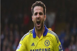Cesc Fabregas: Chelsea không thể so sánh với Arsenal