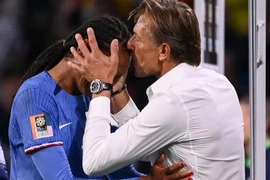 Cựu HLV Nam Định làm điều chưa từng thấy ở World Cup