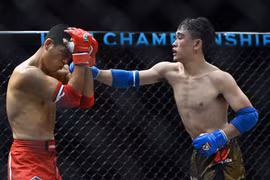 Những đòn đánh MMA hóc hiểm ở Lion Championship 2023
