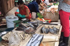 Người Hà Nội tiêu thụ hải sản bình thường