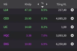 Nghị định 08 vừa ban hành, cổ phiếu bất động sản đua nhau tím trần