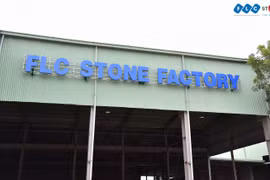 Sau chuỗi phiên tăng trần, giảm sàn liên tiếp, cổ phiếu AMD bị đình chỉ giao dịch