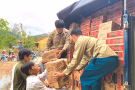 Bộ Tài chính đề nghị các địa phương thanh tra, kiểm tra việc vận động từ thiện