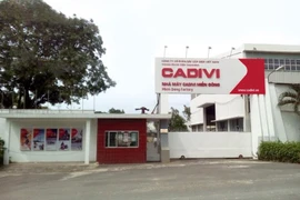 Cadivi bị phạt, truy thu thuế hơn 1,7 tỷ đồng