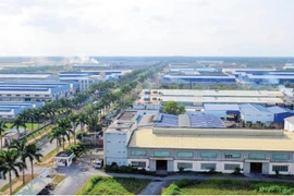 Cổ phiếu ITA của Tân Tạo bị đình chỉ giao dịch