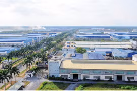 Cổ phiếu ITA của Tân Tạo bị đình chỉ giao dịch