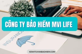 MVI Life lên tiếng về hợp đồng bảo hiểm với diễn viên Ngọc Lan