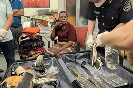 Hải quan Việt Nam tiếp tục triển khai Chiến dịch Con Rồng Mê Kông 6