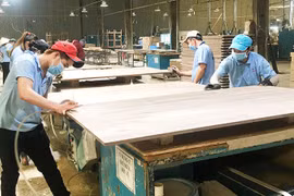 Tăng tốc hoàn thuế giá trị gia tăng cho doanh nghiệp