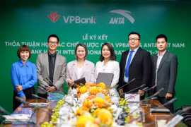 VPBank Hanoi International Marathon 2023 hội tụ loạt thương hiệu lớn