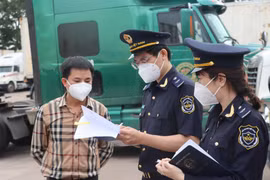 Hải quan “siết” thanh tra, giám sát, kiểm tra sau thông quan để chống thất thu ngân sách