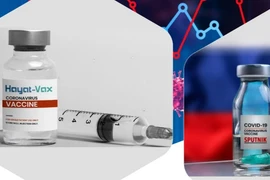 Phê duyệt vaccine Covid-19 của UAE lưu hành tại Việt Nam