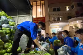 Thành đoàn Hà Nội tổ chức 6 điểm tiêu thụ nông sản giúp nông dân Hải Dương