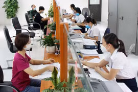 Mới: Chi tiết tỷ lệ công chức theo vị trí việc làm ở cấp tỉnh, xã