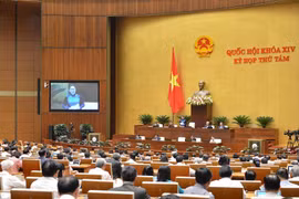 Đại biểu Quốc hội chuyên trách phải có quy hoạch chức danh thứ trưởng trở lên