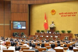 Đại biểu Quốc hội chuyên trách phải có quy hoạch chức danh thứ trưởng trở lên