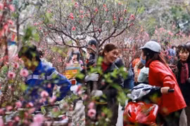 Năm 2021, cán bộ công chức được nghỉ Tết Nguyên đán 7 ngày, Quốc khánh 4 ngày