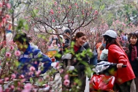 Năm 2021, cán bộ công chức được nghỉ Tết Nguyên đán 7 ngày, Quốc khánh 4 ngày