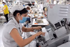 Đã chi hỗ trợ trên 10.800 tỷ đồng từ quỹ Bảo hiểm thất nghiệp