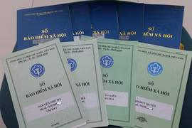 Người lao động mượn hồ sơ tư pháp, tham gia bảo hiểm xã hội xử lý thế nào?