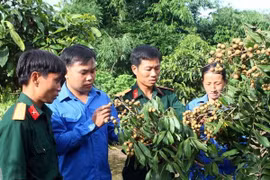 Giải quyết vướng mắc trong bố trí, sử dụng đội viên Đề án 500 trí thức trẻ