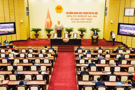 Hà Nội nói gì về nguyên nhân chậm tiến độ dự án đường Liễu Giai - Núi Trúc?