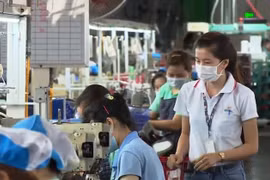 Đi làm dịp Tết Nguyên đán, người lao động được hưởng quyền lợi gì?