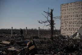 Tổng thống Ukraine tuyên bố thực hiện lệnh ngừng bắn từ ngày 9-12