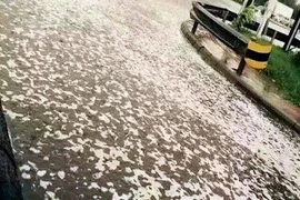 Giải đáp nghi vấn "mưa bọt trắng" bí ẩn ở Thiên Tân sau vụ nổ