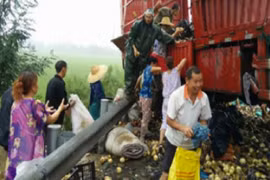 Trung Quốc: Tranh nhau hôi của 20 tấn lê bị đổ tràn xuống đường vì tai nạn