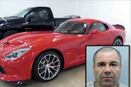 Mexico thu giữ kho "xế hộp" sang trọng của băng đảng "bố già" El Chapo
