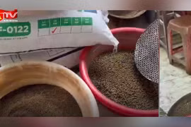 Cận cảnh xưởng sản xuất thuốc giả bằng phụ gia và than tre ở Thanh Hoá